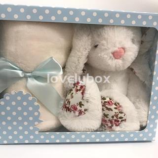 Conejito lindo con manta en caja - Imagen 2