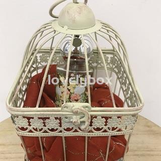 Jaula floral - regalo personalizado - Imagen 2